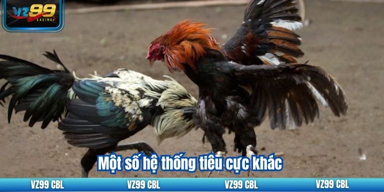 Đá Gà Malaysia VZ99 Hướng Dẫn Cá Cược 4 Một số hệ thống tiêu cực khác