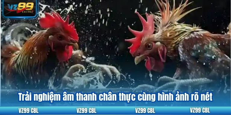 Trực Tiếp Đá Gà C1: Trận Đấu Đỉnh Cao Hấp Dẫn Tại VZ99 3 Trải nghiệm âm thanh chân thực cùng hình ảnh rõ nét